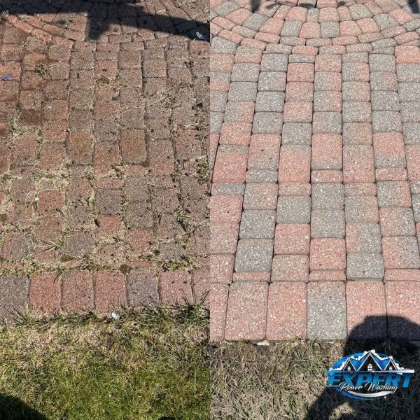 Paver Cleaning in Gary, MI (1)