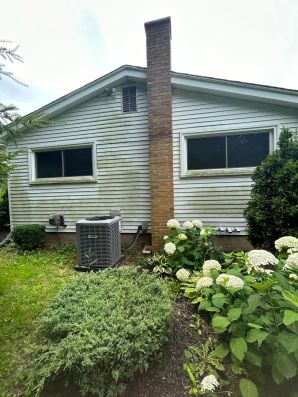 Before & After Residentail Power Washing in Warren, MI (1)