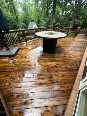Deck & Fence Cleaning in Clinton Township, MI (6)