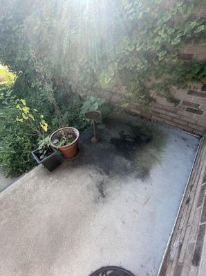 Before & After Concrete Cleaning in Warren, MI (1)