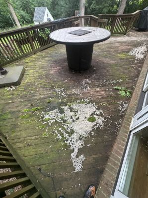 Deck & Fence Cleaning in Clinton Township, MI (5)